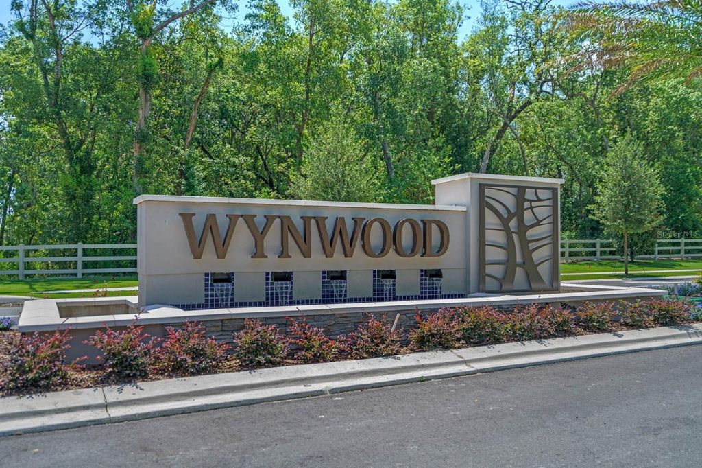 Photo of 2085 Ashwood Bluff Drive, Ocoee, FL 34761 (MLS # O6378190)