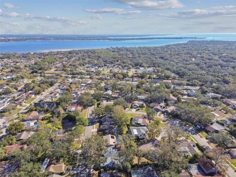 A home in SAFETY HARBOR