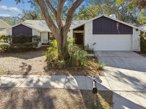 A home in SAFETY HARBOR