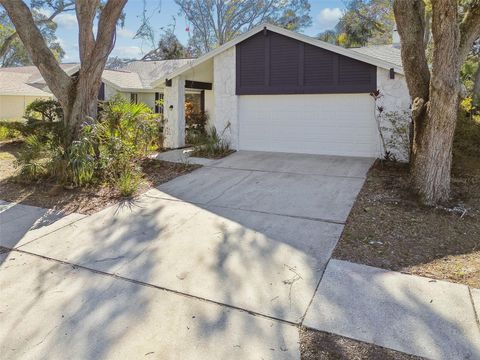 A home in SAFETY HARBOR