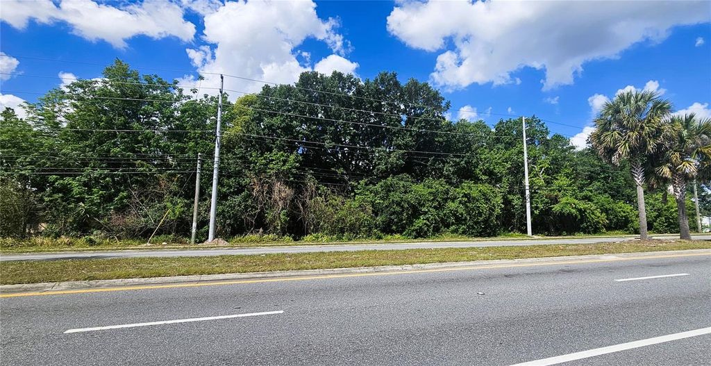 Photo of 2516 S Goldenrod Road, Orlando, FL 32822 (MLS # O6401675)