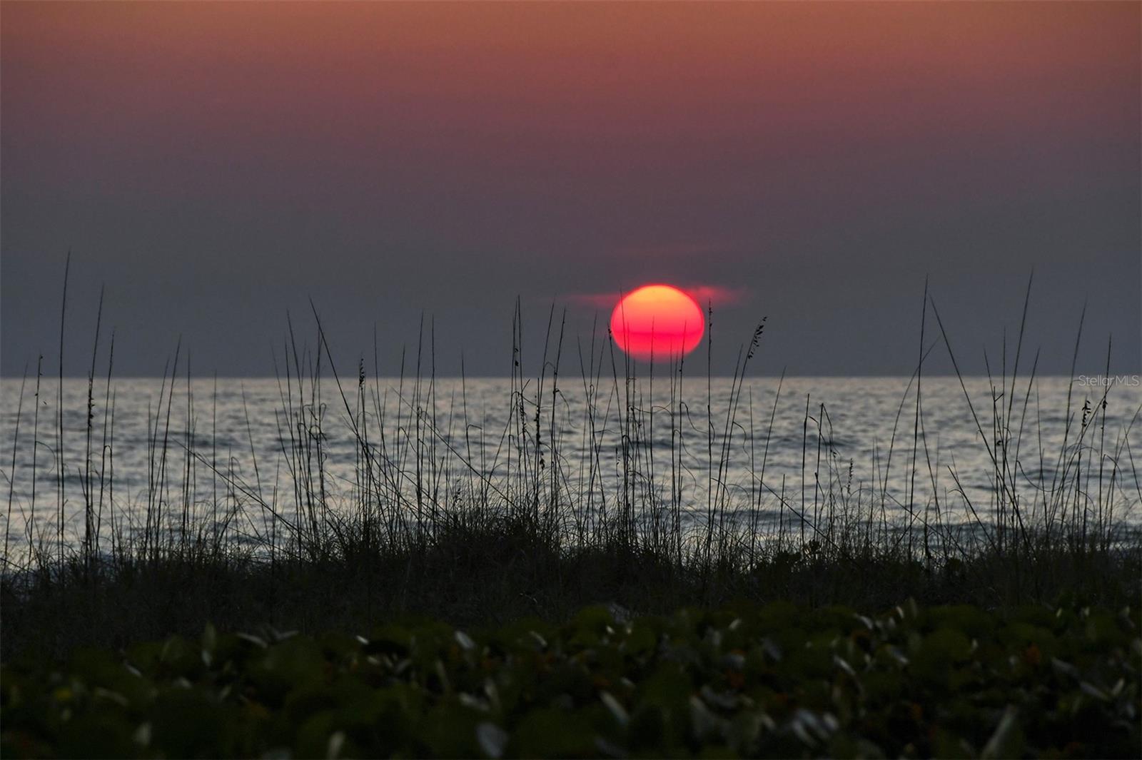 SLEEPY LAGOON PART NO 2 - Residential