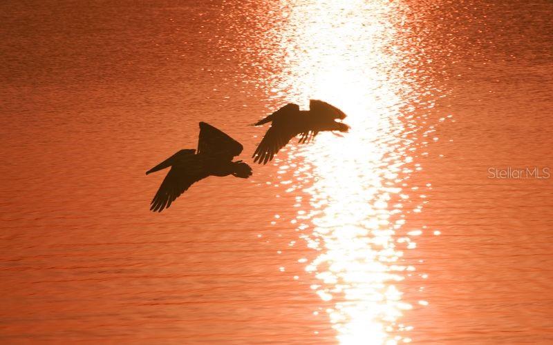 SLEEPY LAGOON PART NO 2 - Residential