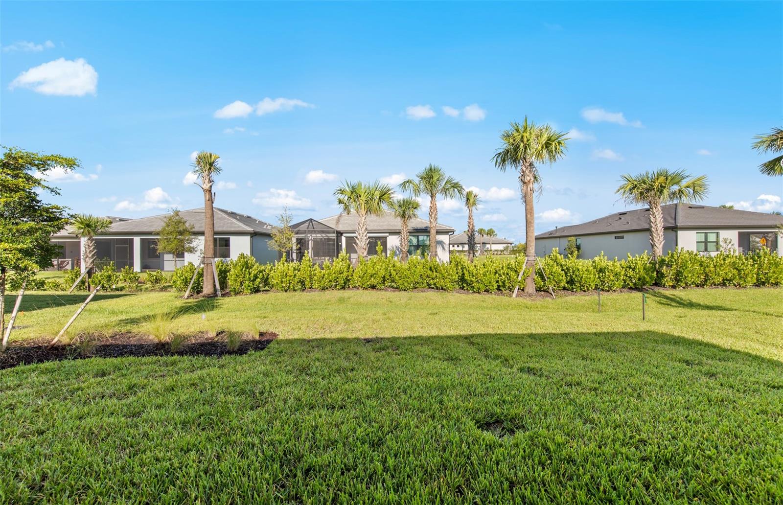 ARBOR OAKS AT THE WOODLANDS - Residential