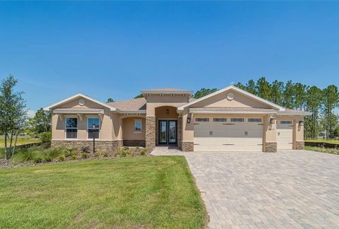 Photo of 10537 SW 96th Lane Road, Ocala, FL 34481 (MLS # OM724440)