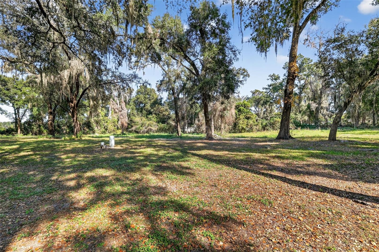 BELLEVIEW BIG OAKS 04 - Residential