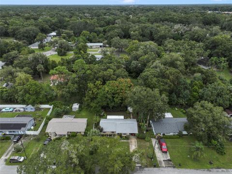 A home in ORANGE CITY