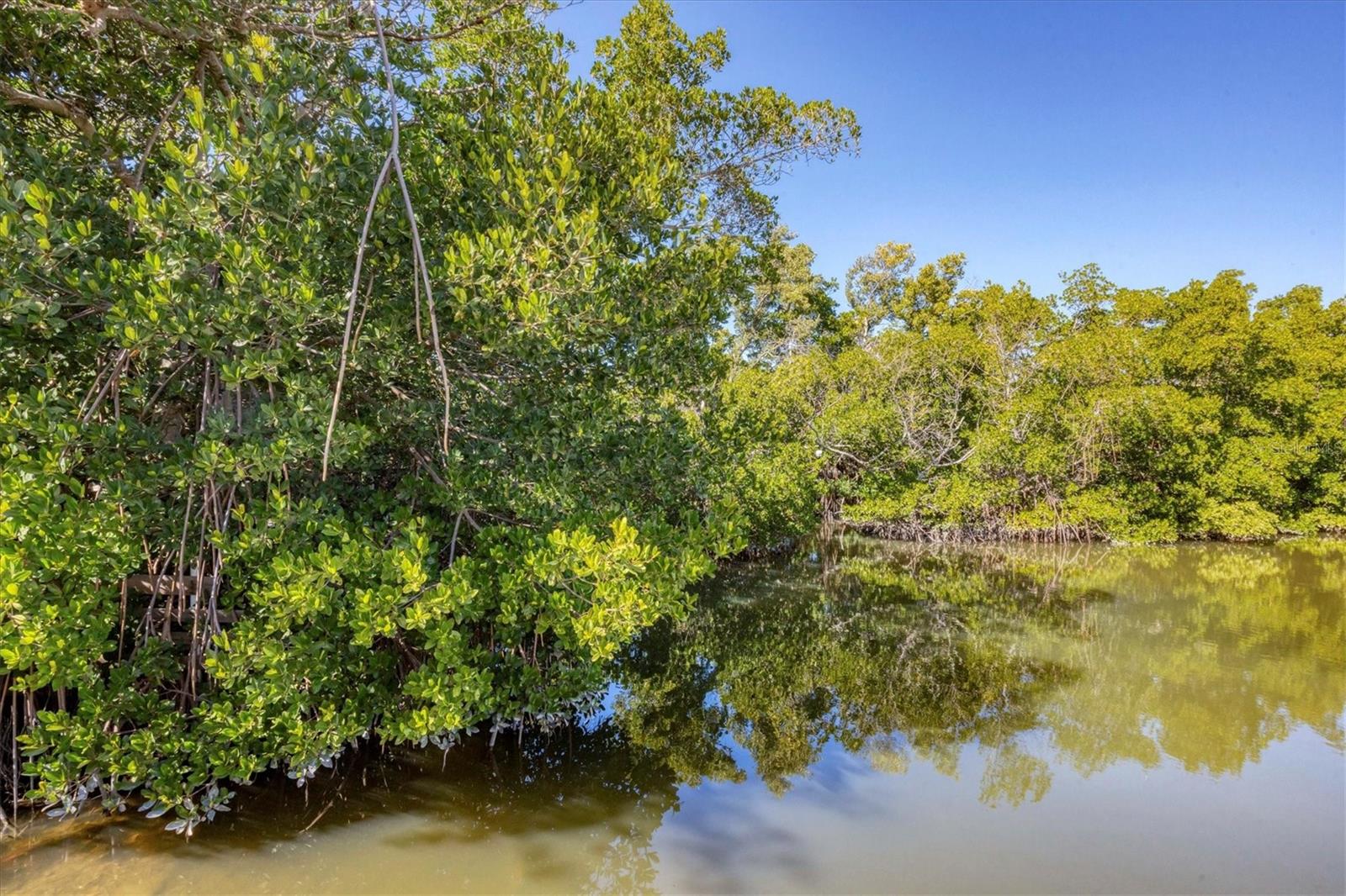 LONGBOAT KEY - Residential