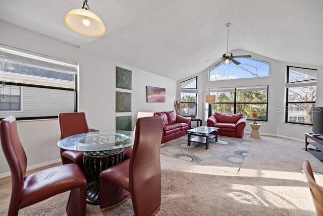 VILLAS AT SHADOW BAY THE - Residential