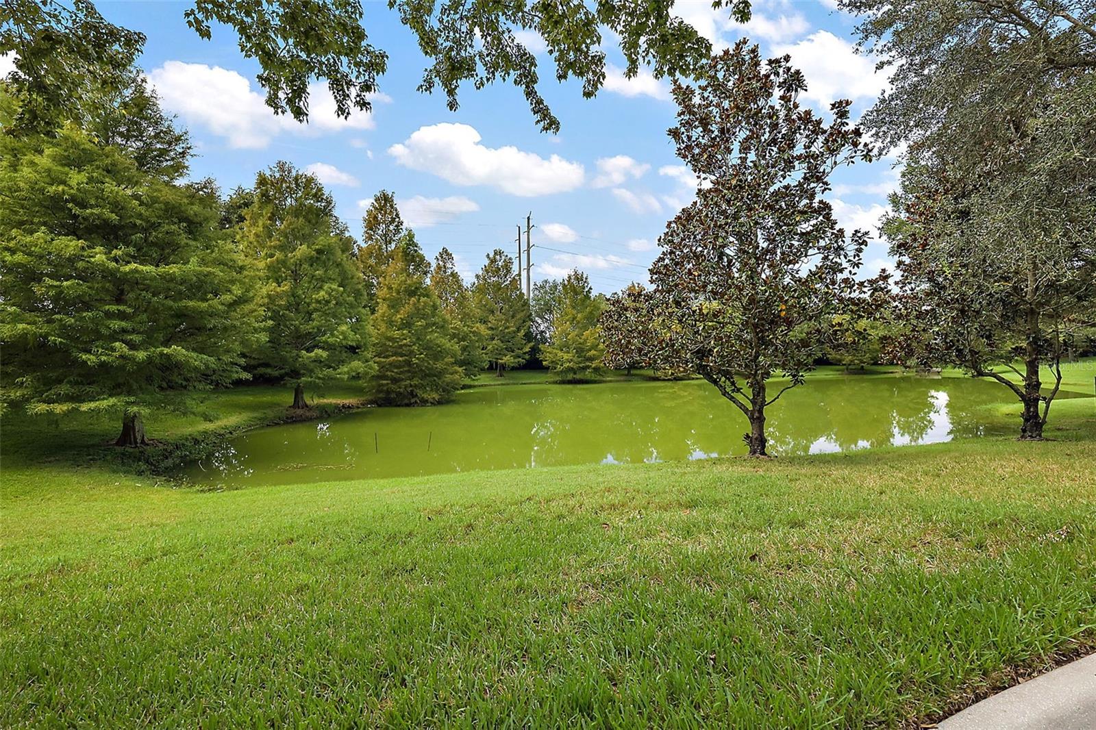 REGENCY OAKS UNIT ONE - Residential