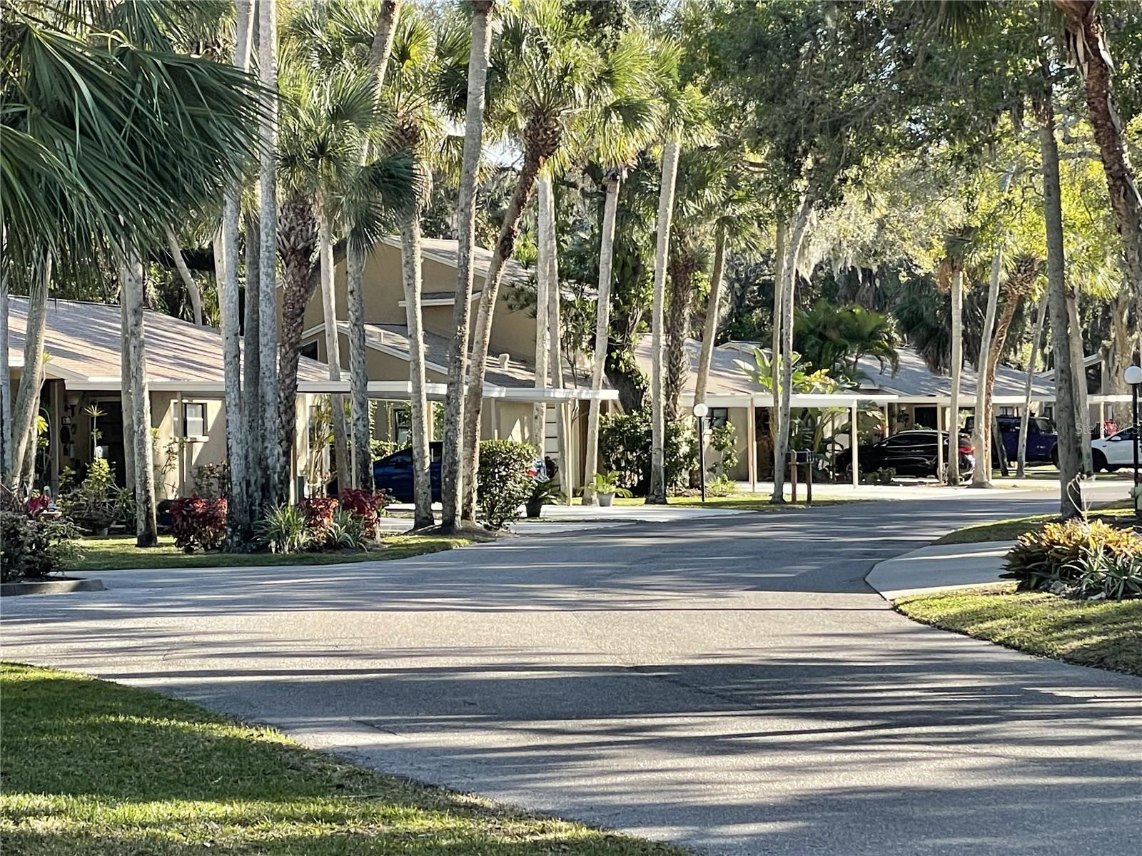 VILLAGE GARDENS PH 3 - Residential