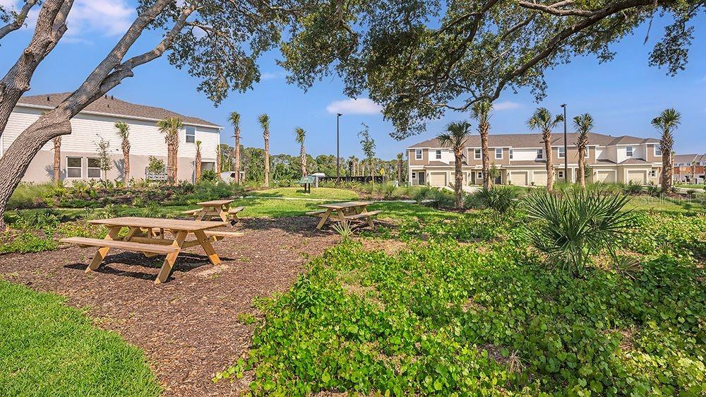 VINTERRA TOWNHOMES - Residential