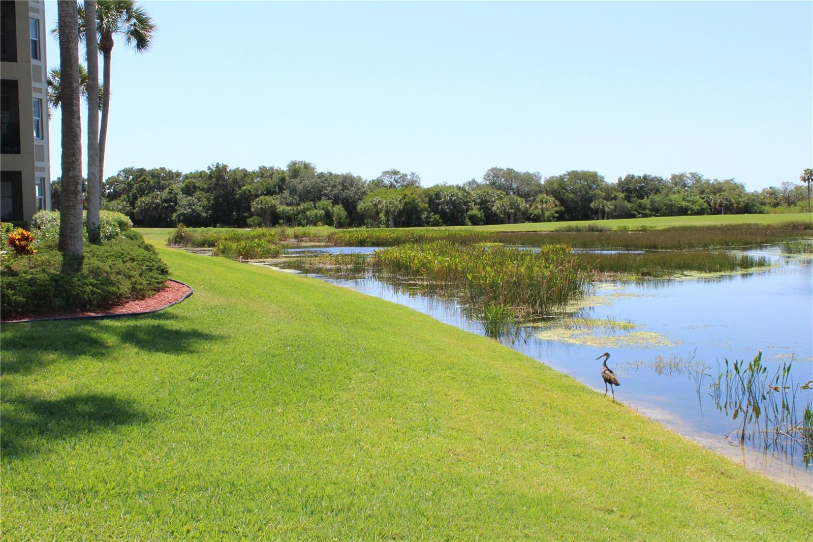 GRAND ESTUARY II AT RIVER STRAND - Residential
