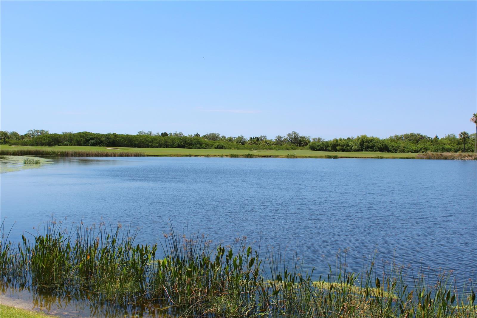 GRAND ESTUARY II AT RIVER STRAND - Residential