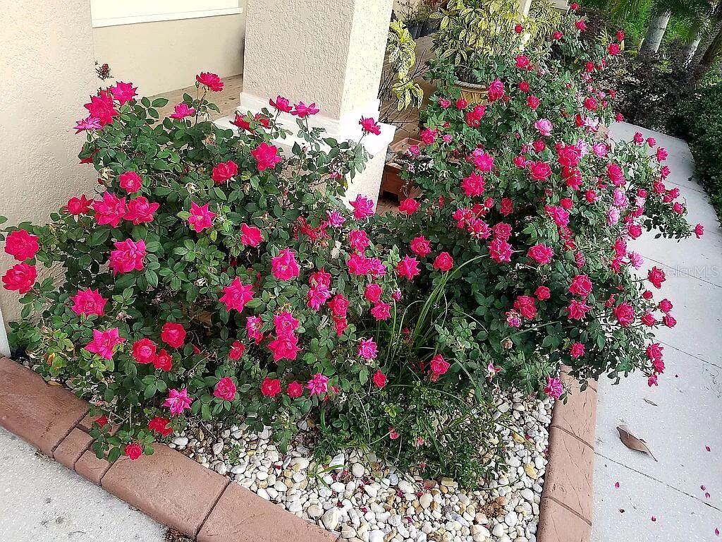 HERITAGE ISLES PH 3C - Residential