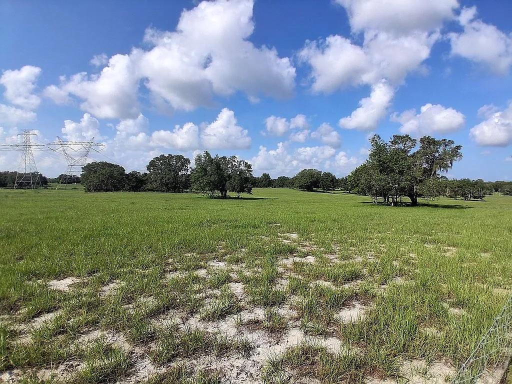 Photo of 15750 Larry Road, Spring Hill, FL 34610 (MLS # W7889425)