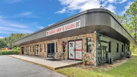 Tiny photo for 4314 N Suncoast Boulevard, Crystal River, FL 34428 (MLS # L4946988)