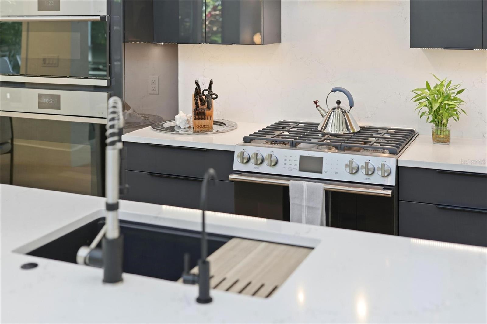 POINSETTIA PARK 2 - Residential