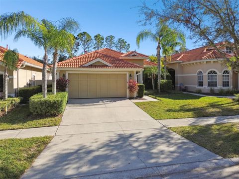 A home in TAMPA