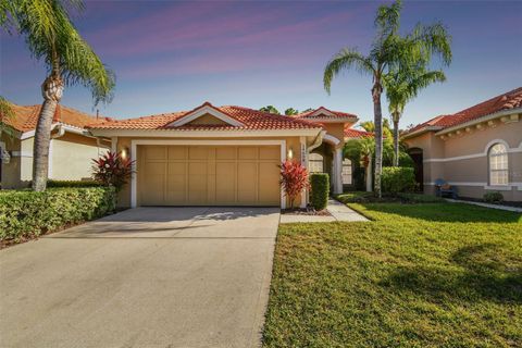 14608 MIRASOL MANOR COURT TAMPA FL 33626