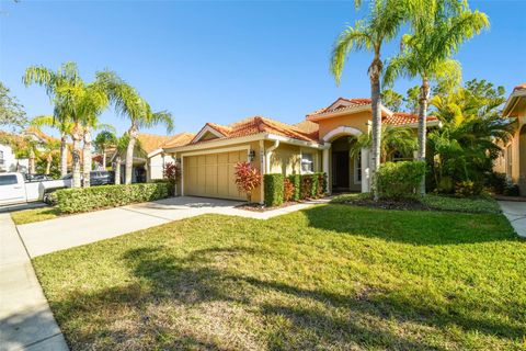 A home in TAMPA