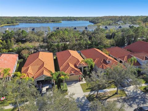 A home in TAMPA