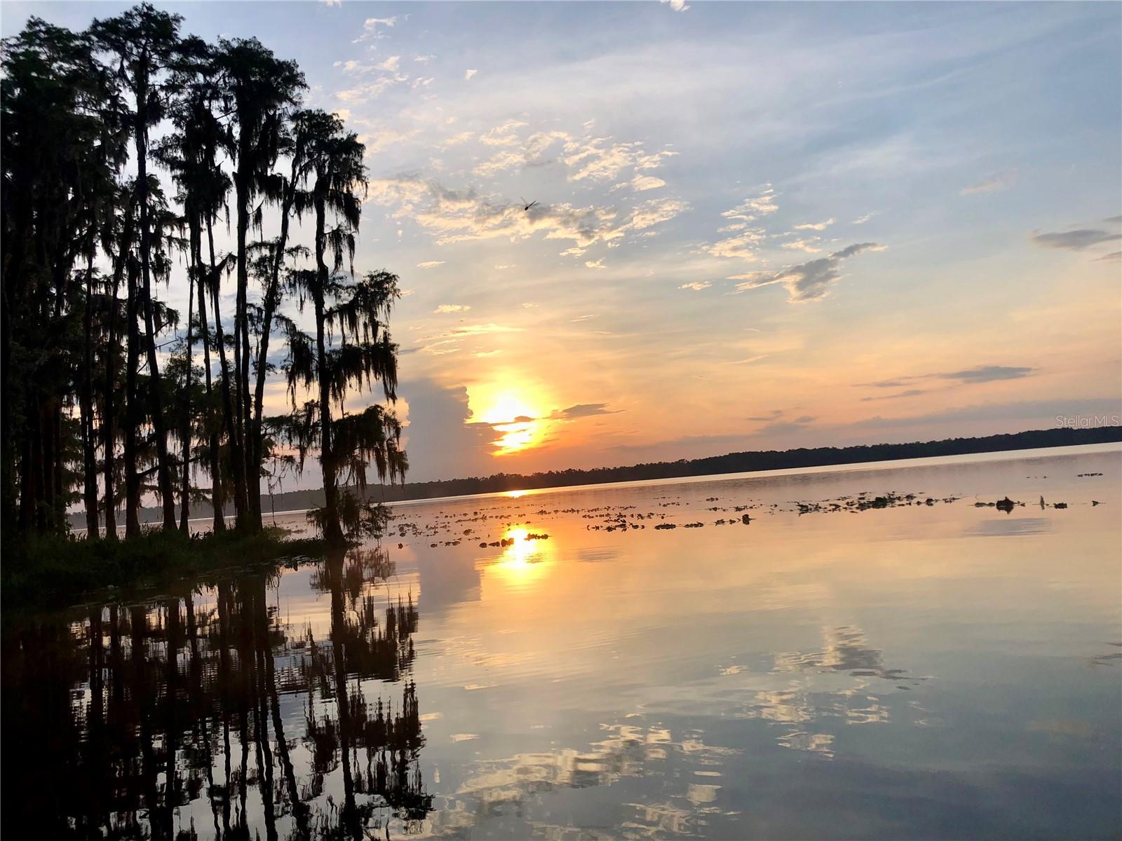 NEW EDEN ON THE LAKES UNITS 11 & 14 REP - Residential