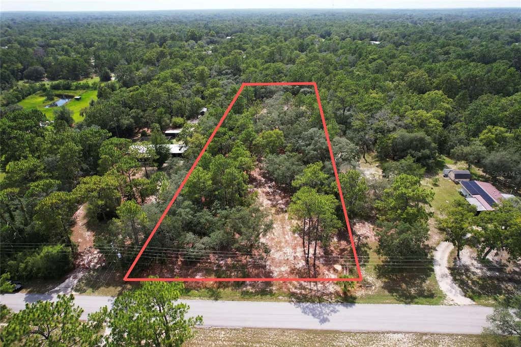 Photo of 4546 S Evergreen Avenue, Homosassa, FL 34446 (MLS # O6428555)
