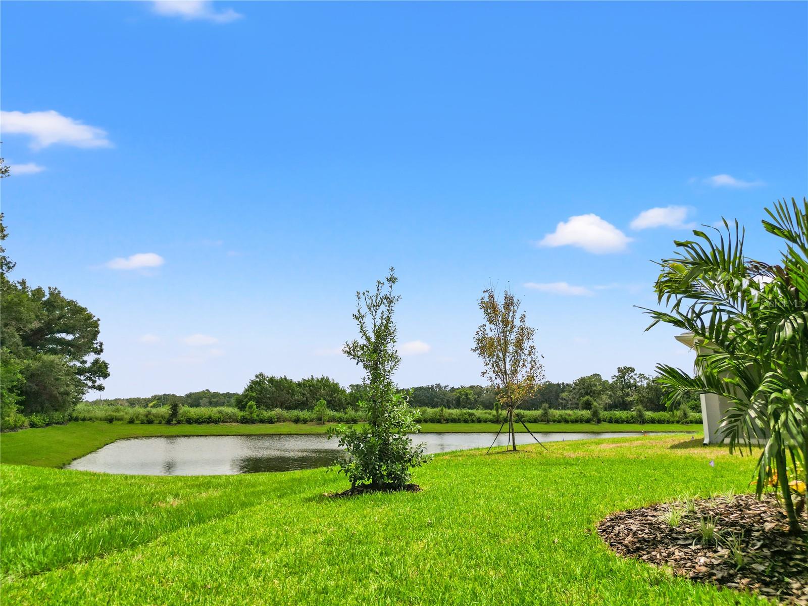 MORGANS GLEN PH IA, IB, IC, IIA & IIB - Residential