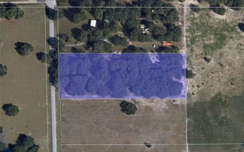 HARDWOOD AVENUE WEIRSDALE FL 32195