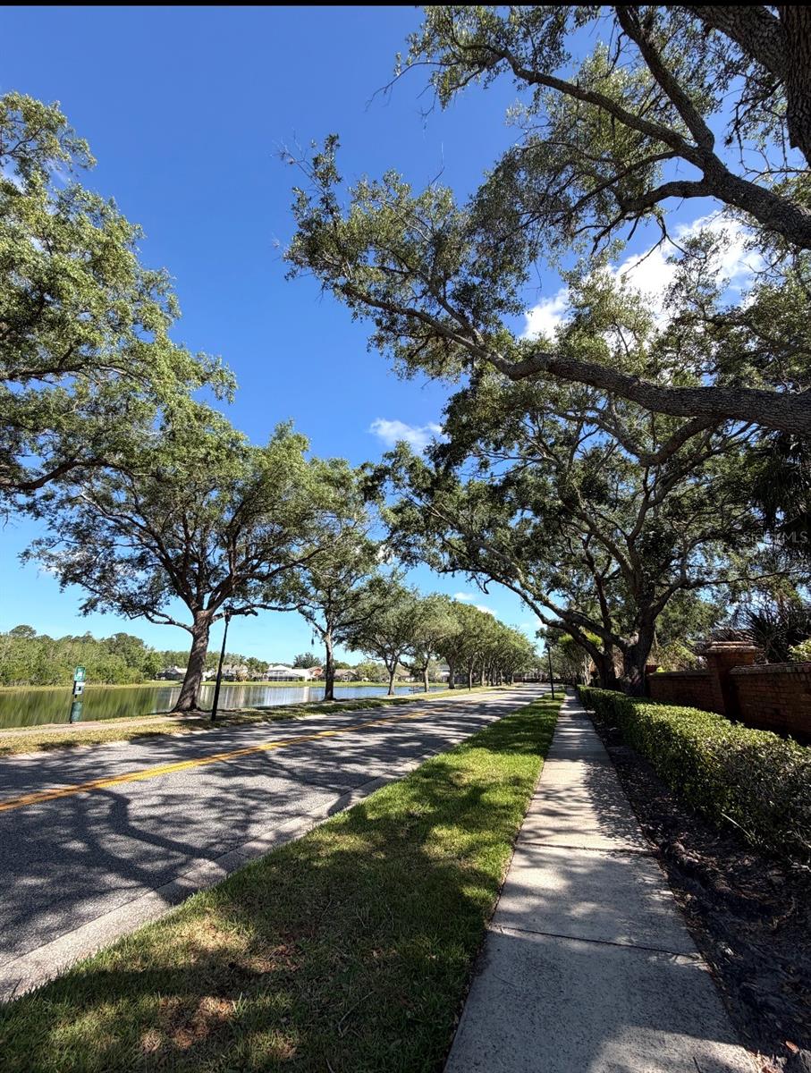 UNIVERSITY ESTATES - Residential