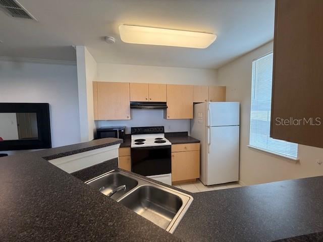 SIENA AT CELEBR CONDO A - Residential Lease