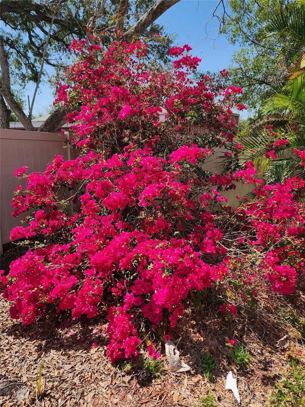 Photo of 3008 W Napoleon Avenue, Tampa, FL 33611 (MLS # TB8331149)