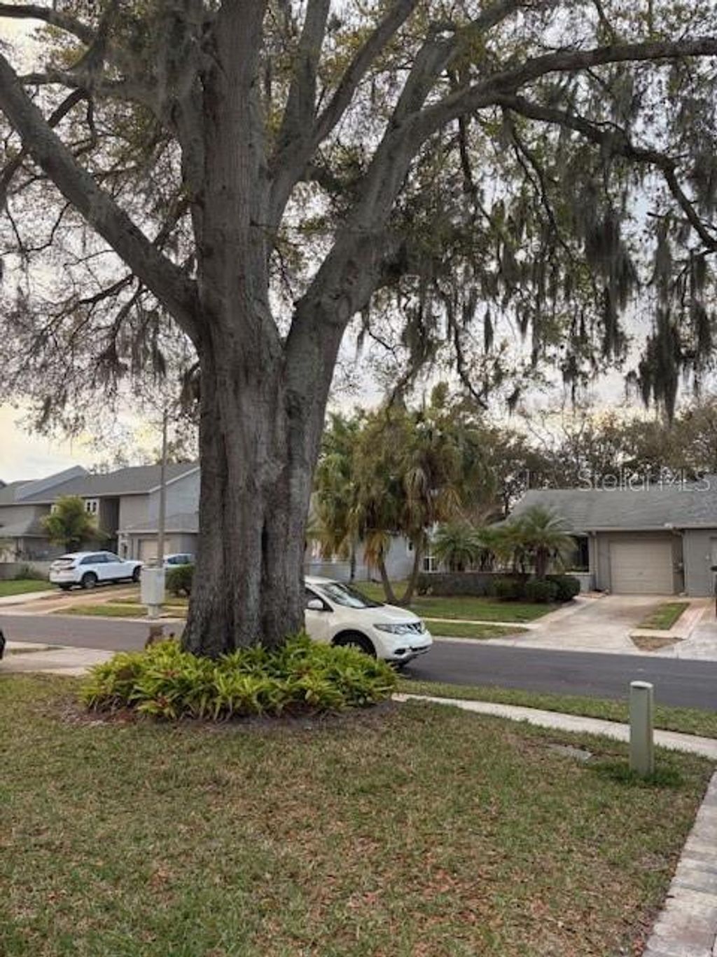 Photo of 159 Hunter Court #N/A, Palm Harbor, FL 34684 (MLS # TB8484112)