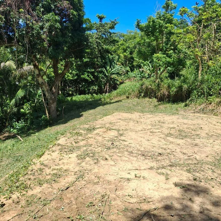 LAND FOR SALE – BO. MINILLAS, BAYAMÓN 

Great opportunity! Spacious 3,029 m² lot for sale in the peaceful and accessible Minillas neighborhood of Bayamón.

 Ideal for residential development, private estate, or investment
 Flat terrain with excellent potential
 Quiet area with growing demand
Easy access to main roads and just minutes from downtown Bayamón

Competitively priced
 All documentation up to date

Don't miss out on this opportunity!
Contact us today for more information or to schedule a visit.