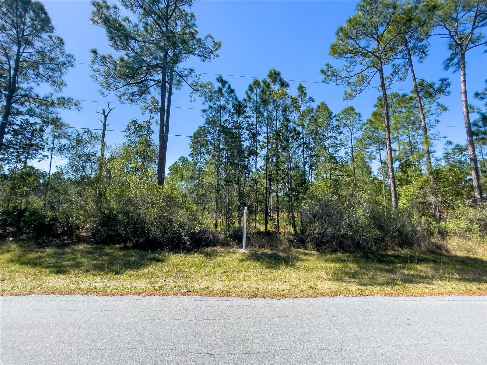 BAY LAKE RANCH UNIT 2 - Land