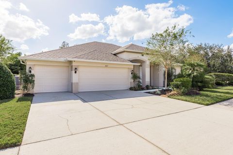 A home in LAND O LAKES