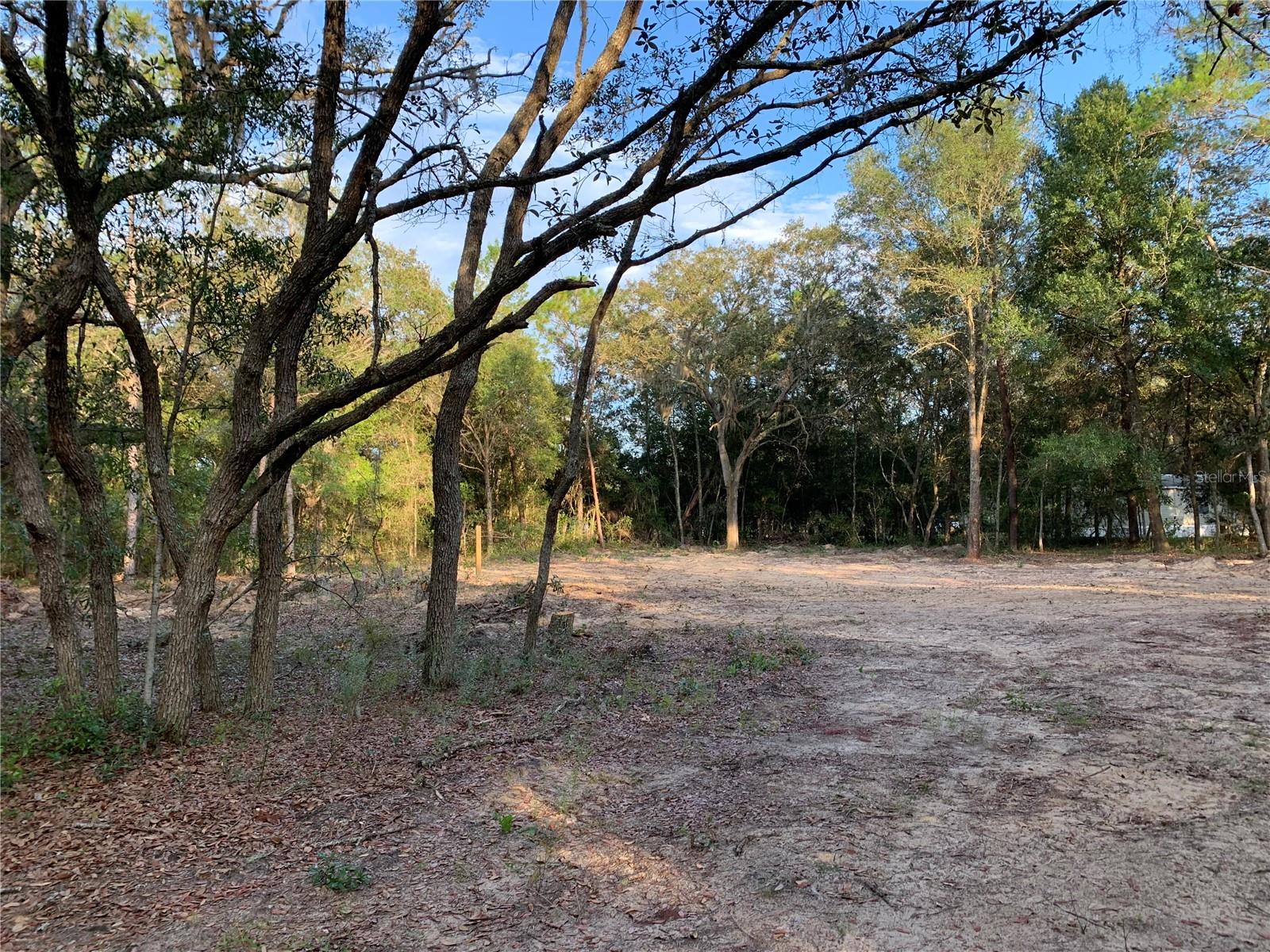 Discover the potential of this beautiful 1.84-acre vacant lot, nestled in a serene and picturesque location. The property offers a unique blend of privacy and convenience, making it an ideal place for your dream home or investment. **Key Features** The majority of the lot is cleared and ready for development, with just a hint of natural growth adding to its charm. Corner posts are installed, clearly outlining the property and ready for your custom fencing plans. Gorgeous large oak trees have been preserved at the planned site for a house and/or shop, providing a natural canopy and aesthetic appeal. The lot features a convenient half-moon driveway, ensuring easy access and thoughtful design. Although there is a light pole from Clay Electric on the premises, power is not yet connected. However, this provides a head start for utility setup. Water installation is still needed as no well has been dug. 15 connected lots, this parcel provides an abundance of space for various configurations or future expansion. Just one block from a paved road, the property is strategically located near Gainesville, Ocala, and Saint Augustine, and is about an hour from the new Bass Pro store. This property is high, dry, and not located in a flood zone, providing peace of mind. Whether you're looking to build a personal retreat or invest in growing communities nearby, this lot is a blank slate awaiting your creativity. Contact me today for more details and to explore this exciting opportunity!