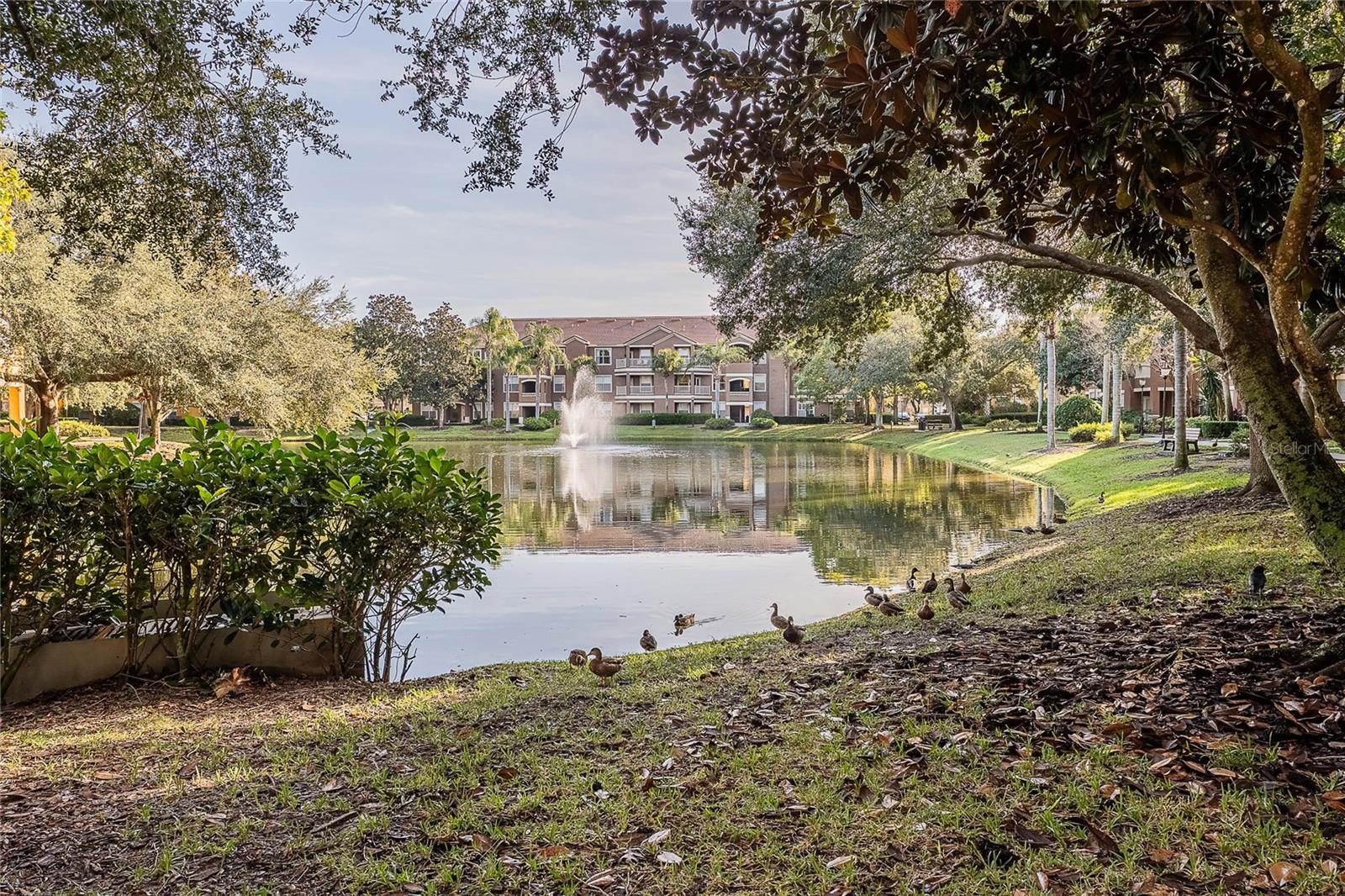 MIRABELLA - Residential