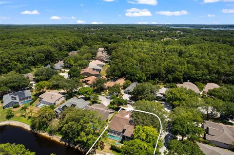 A home in PALM HARBOR