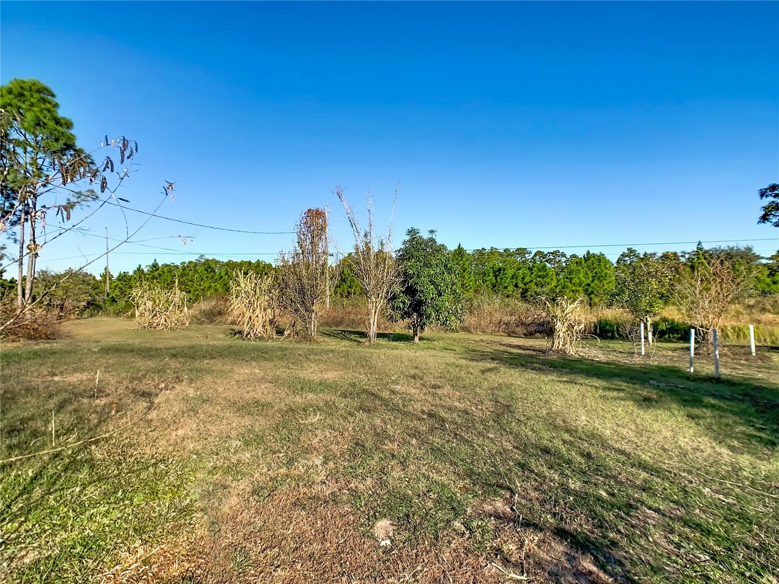 INDIAN LAKE ESTATES - Residential