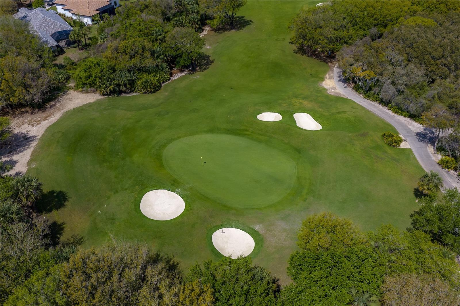 OCEAN HAMMOCK - Land