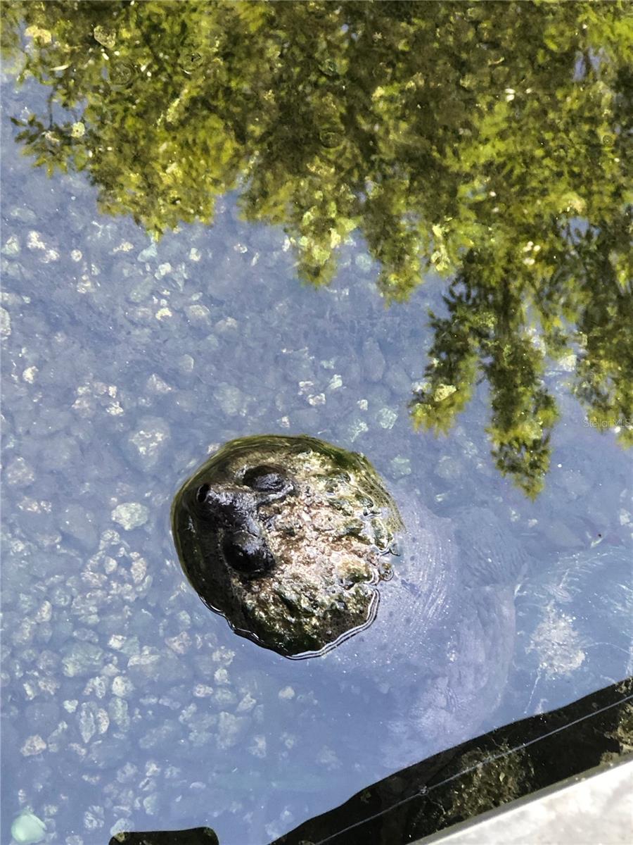 VILLAGE PARK AT THE WILDERNESS RV PARK ESTATES - Land