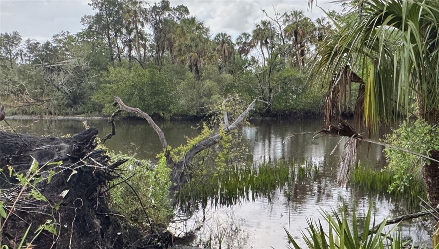 EXCLUSIVE WATERFRONT DEVELOPMENT OPPORTUNITY:  

Attention Homebuyers; Waterfront Builders; and Custom Home Builders:  Here is one of 5 total premium homesites now available
and located along Upper Manatee River Road (UMRR). This parcel offers a unique combination of natural beauty, accessibility, and build-ready potential—an increasingly scarce find in today’s market.

Property Highlights:
• Direct frontage on Upper Manatee River Road
• Direct frontage on Mill Creek (waterfront access with favorable mooring depths)
• Heavily wooded parcel offering privacy and natural character
• Excellent ingress and egress
• Utilities nearby: water, electricity, and sewer
• Select lots may support a septic systems
• Navigable access from Mill Creek to:
o Manatee River, Intracoastal Waterway, Anna Maria Island, and Gulf Beaches

This property presents an exceptional and rare opportunity for custom waterfront home development in a region where buildable waterfront land is becoming increasingly limited each year.

Key Advantages for Builders:
• Strong demand for waterfront custom homes in Manatee & Sarasota Counties
• Flexible building potential (with informed consideration of FEMA regulations and waterfront setbacks)
• Attractive end-user appeal: boating access, privacy, and proximity to coastal destinations

This is a first-come, first-served offering, with cash and conventional financing options available.  If you are seeking your next standout project—or looking to secure premium waterfront inventory—this is an opportunity you won’t want to miss.