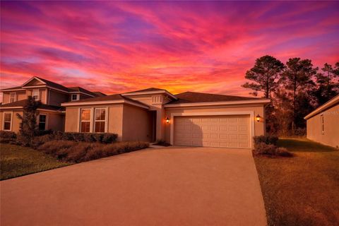 3963 WILLOWBROOK DRIVE EDGEWATER FL 32141