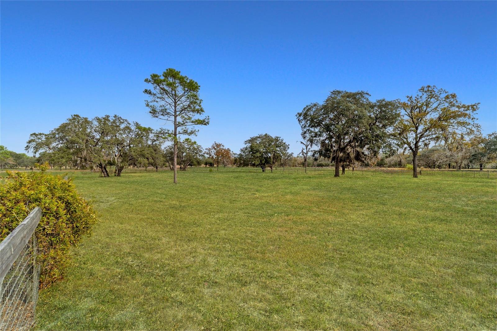 CIRCLE M RANCHETTES - Residential