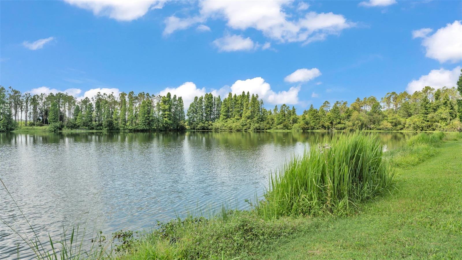 TIMBERS NORTH - Residential