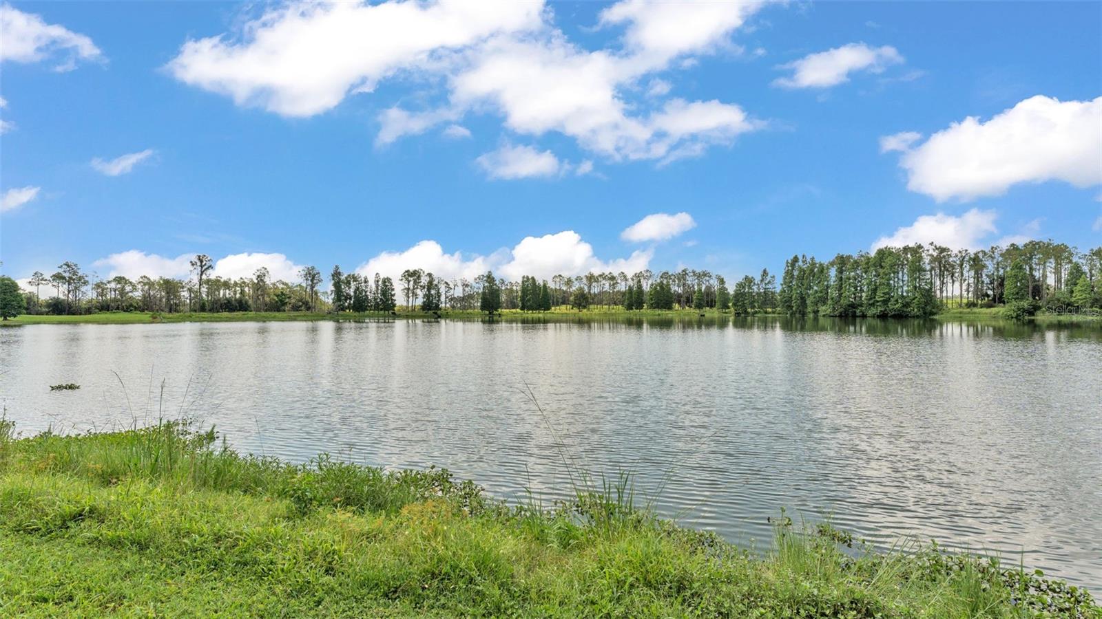 TIMBERS NORTH - Residential