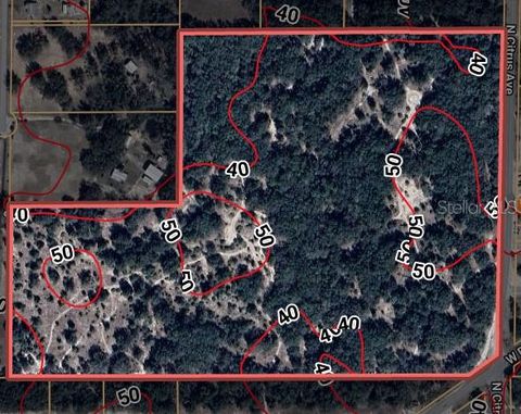 Tiny photo for 8144 W Alvany Court, Crystal River, FL 34428 (MLS # TB8432003)