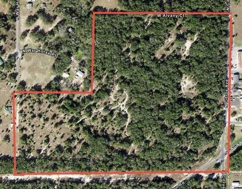 Tiny photo for 8144 W Alvany Court, Crystal River, FL 34428 (MLS # TB8432003)